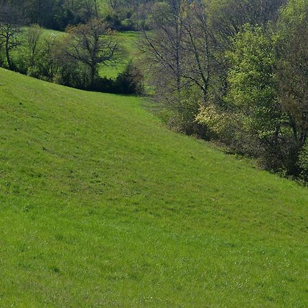 Saint-Paul-de-Baise Chambre D'Hote Au Domaine Terre De Chenes المظهر الخارجي الصورة
