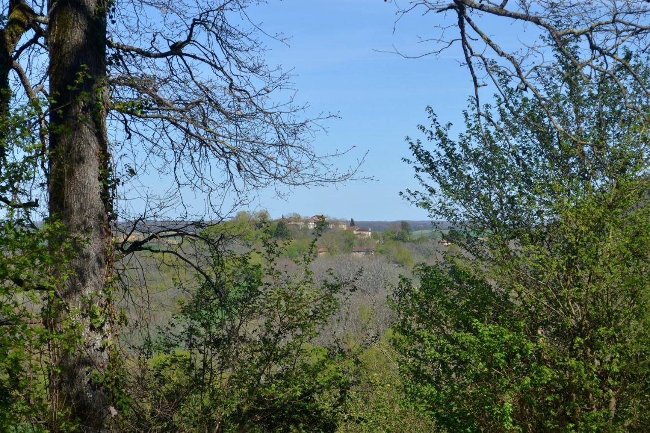 Saint-Paul-de-Baise Chambre D'Hote Au Domaine Terre De Chenes المظهر الخارجي الصورة