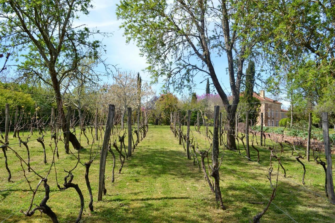 Saint-Paul-de-Baise Chambre D'Hote Au Domaine Terre De Chenes المظهر الخارجي الصورة