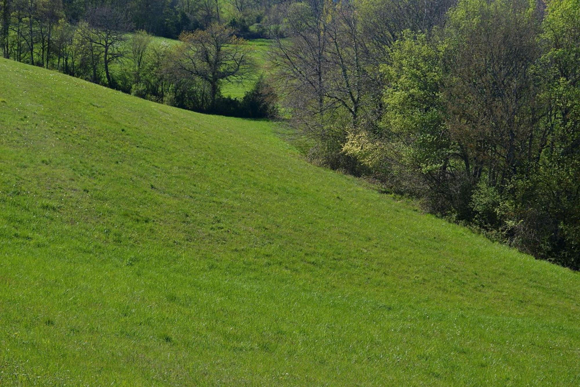 Saint-Paul-de-Baise Chambre D'Hote Au Domaine Terre De Chenes المظهر الخارجي الصورة