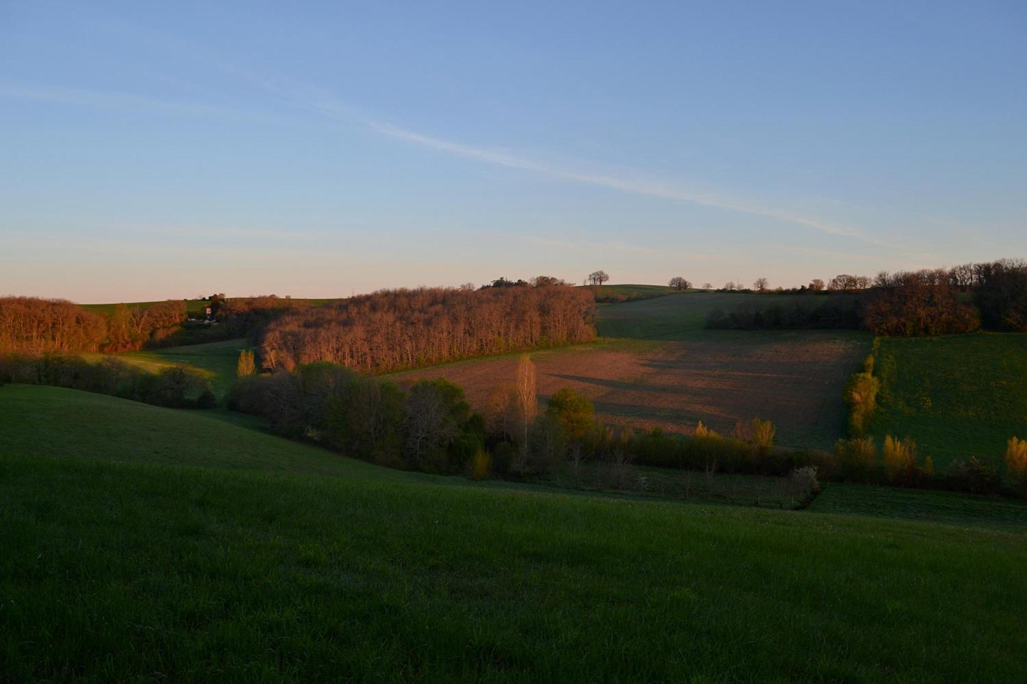 Saint-Paul-de-Baise Chambre D'Hote Au Domaine Terre De Chenes المظهر الخارجي الصورة